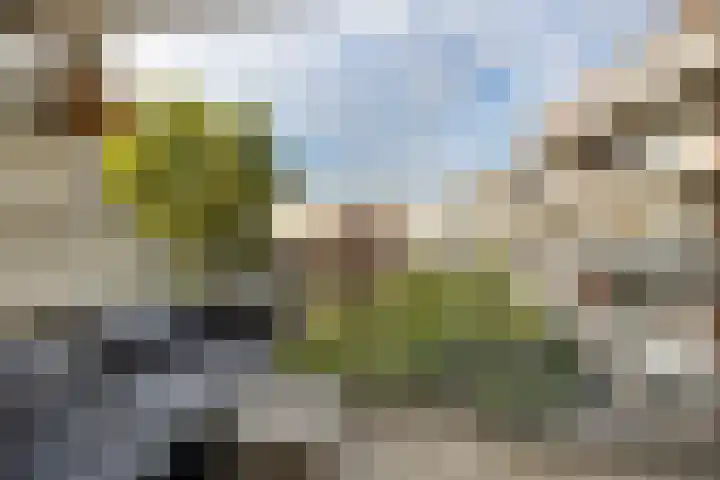 Marepoortkade 33 Leiden thumbnail 16
