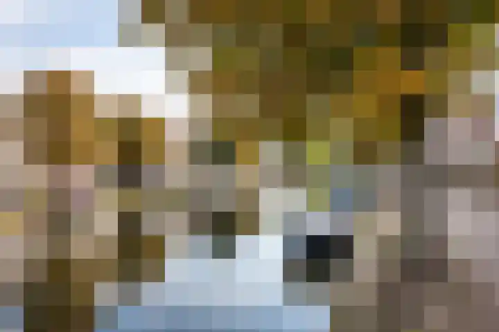Marepoortkade 33 Leiden thumbnail 23