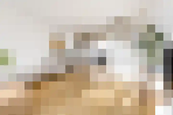 Marepoortkade 33 Leiden thumbnail 6
