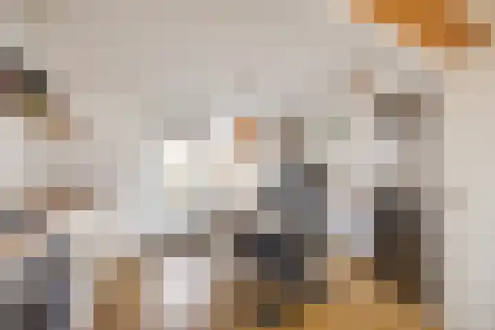 Marepoortkade 33 Leiden thumbnail 8