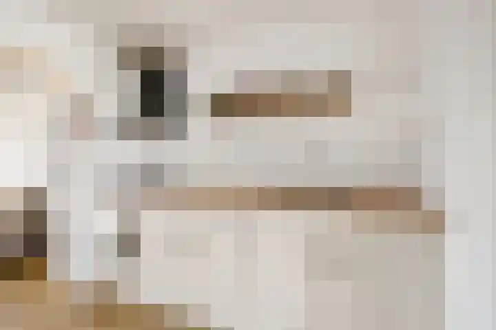 Marepoortkade 33 Leiden thumbnail 9