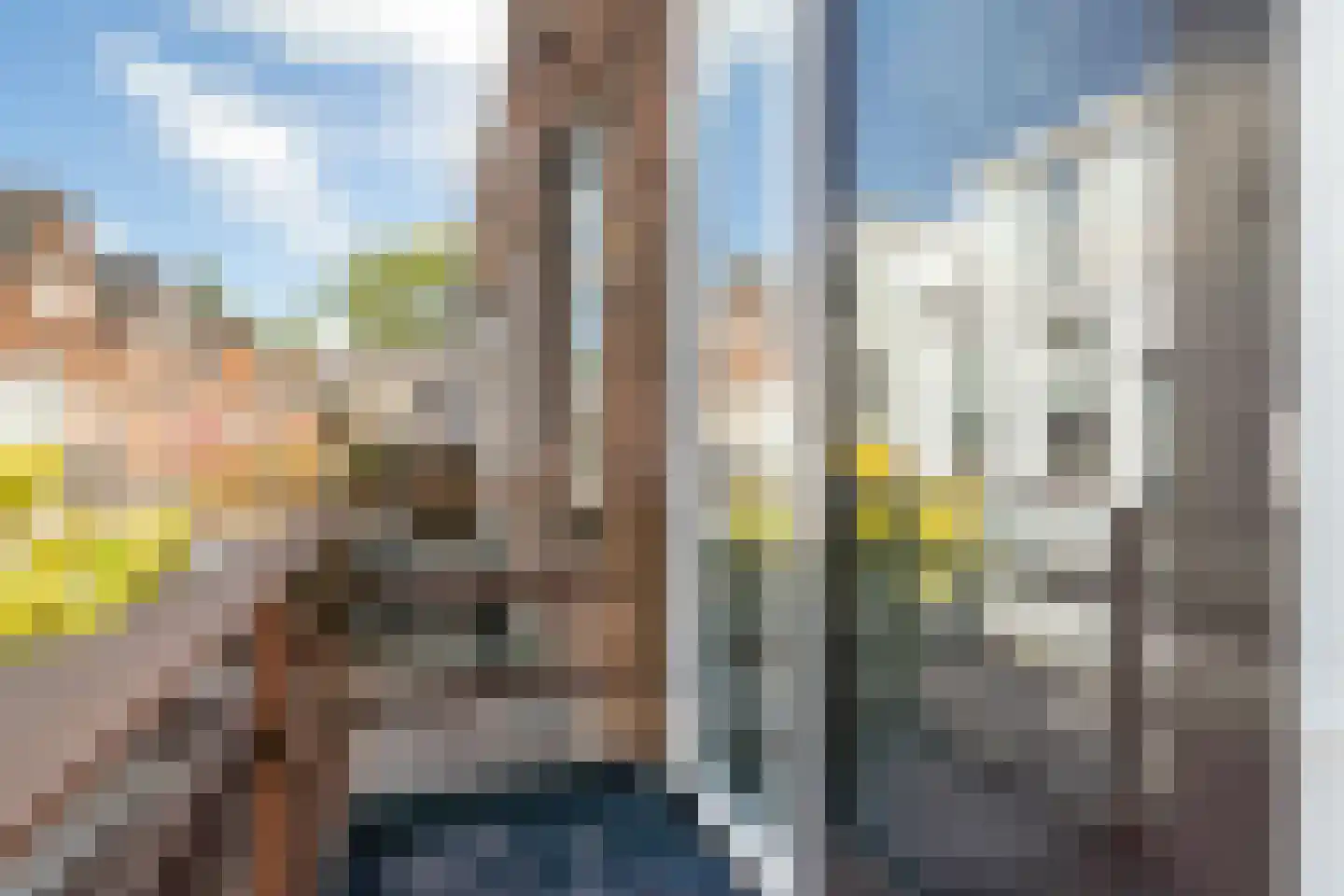 Maresingel 46 A Leiden thumbnail 24