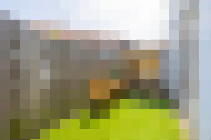 Maresingel 65 Leiden thumbnail 21