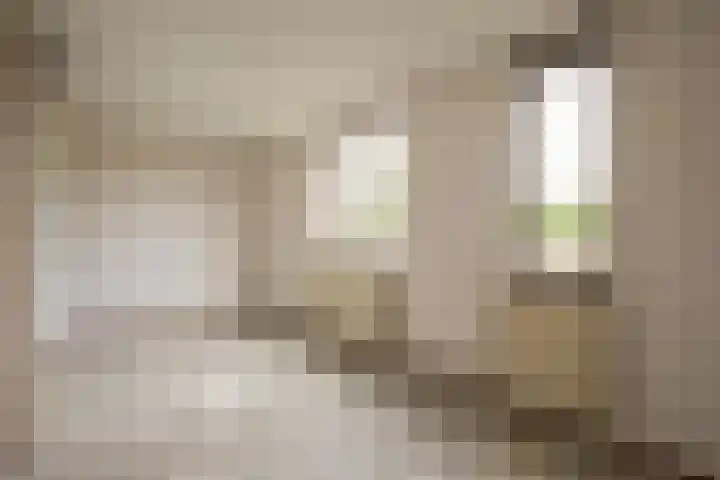 Maretakhof 14 Roermond thumbnail 10