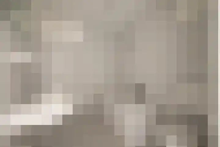 Maretakhof 14 Roermond thumbnail 13