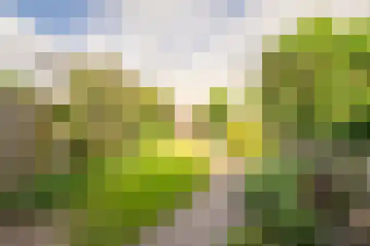 Maretakhof 14 Roermond thumbnail 15