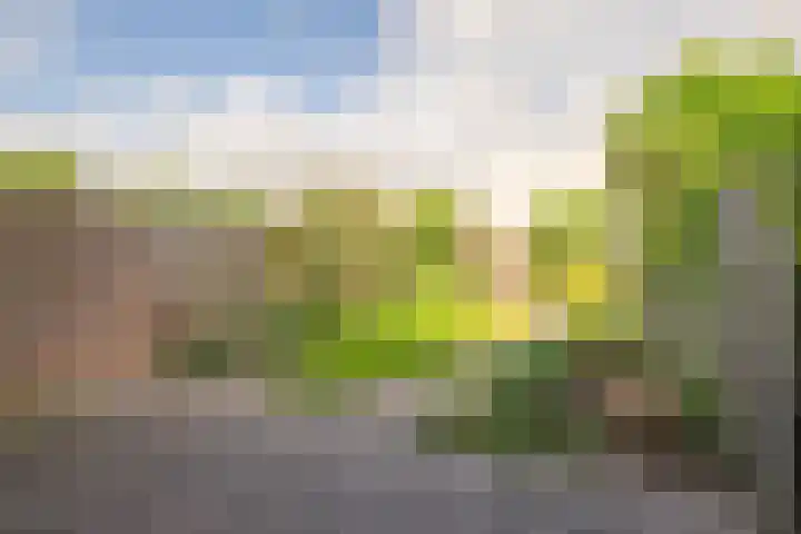 Maretakhof 14 Roermond thumbnail 16