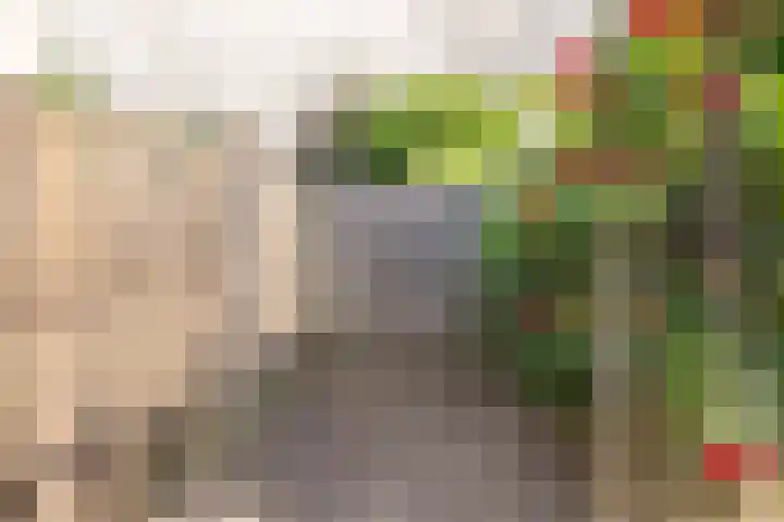 Maretakhof 14 Roermond thumbnail 17