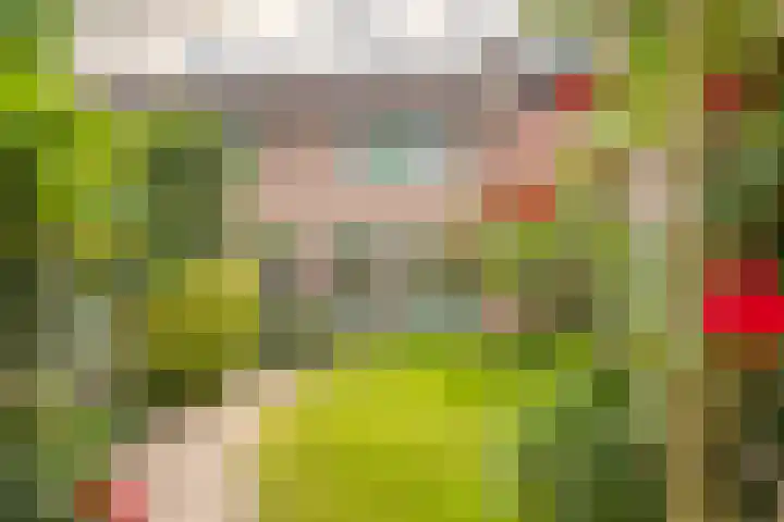 Maretakhof 14 Roermond thumbnail 18