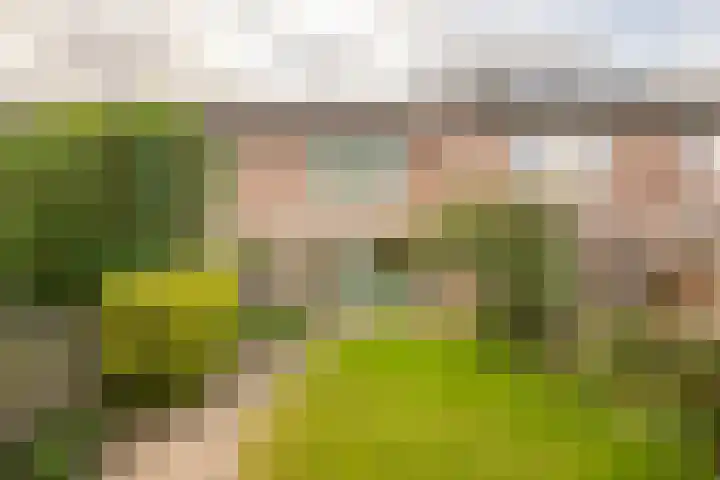 Maretakhof 14 Roermond thumbnail 19