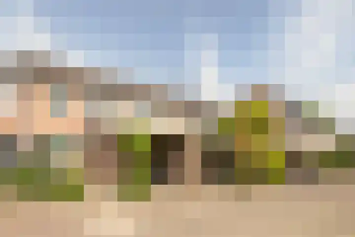 Maretakhof 14 Roermond thumbnail 21