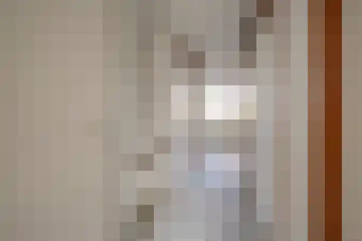 Maretakhof 14 Roermond thumbnail 8