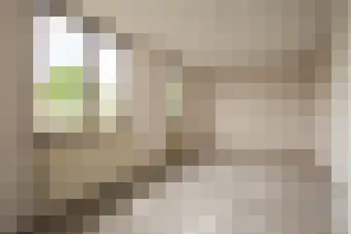 Maretakhof 14 Roermond thumbnail 9