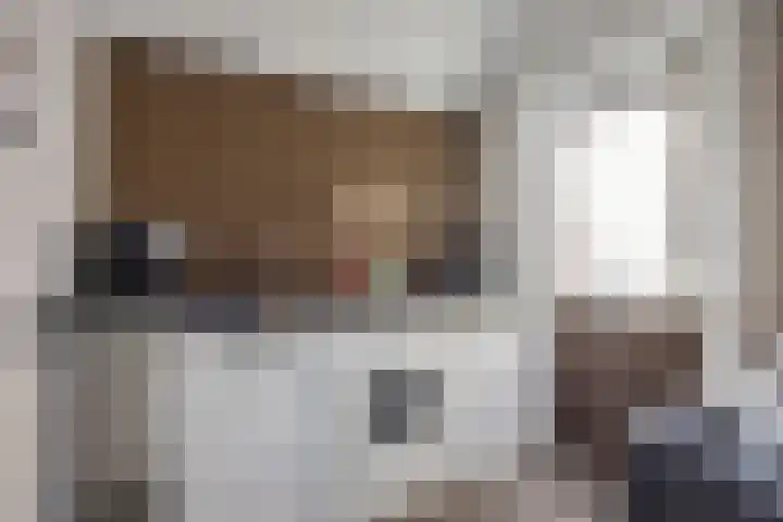 Maretakhof 19 Roermond thumbnail 10