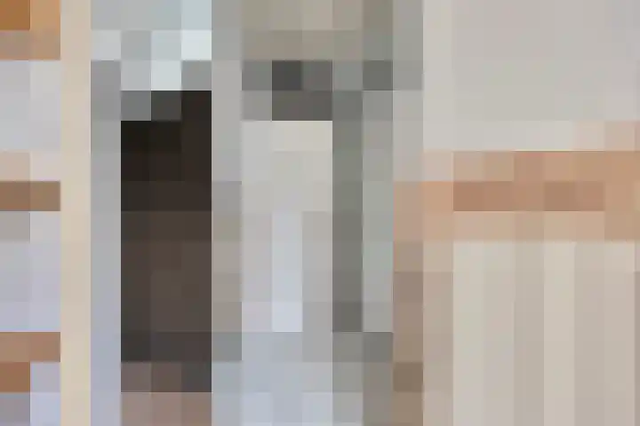 Maretakhof 19 Roermond thumbnail 11