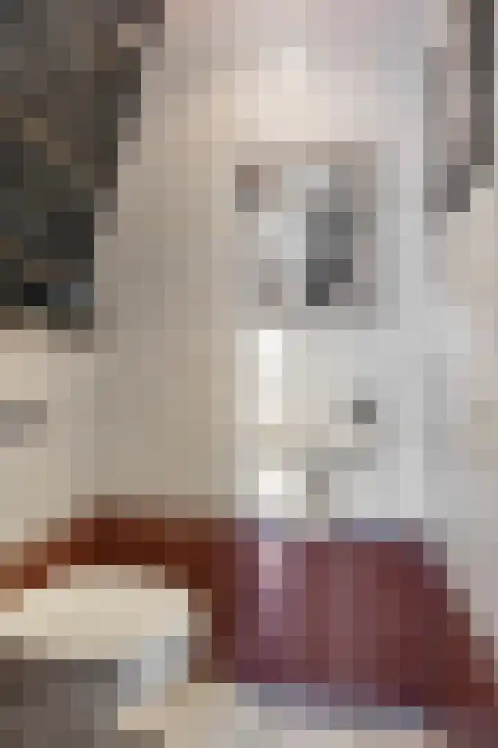 Maretakhof 19 Roermond thumbnail 12