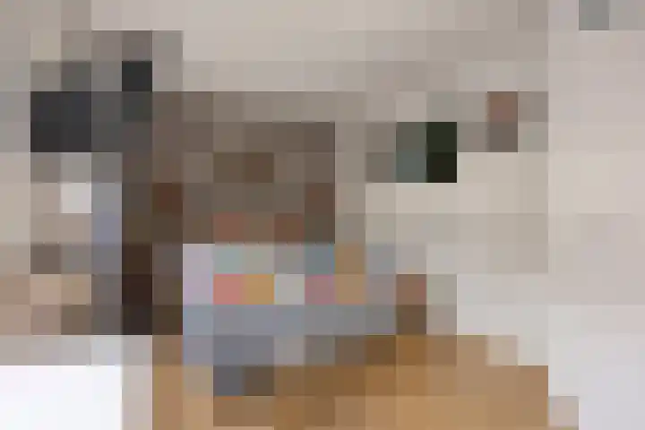 Maretakhof 19 Roermond thumbnail 14