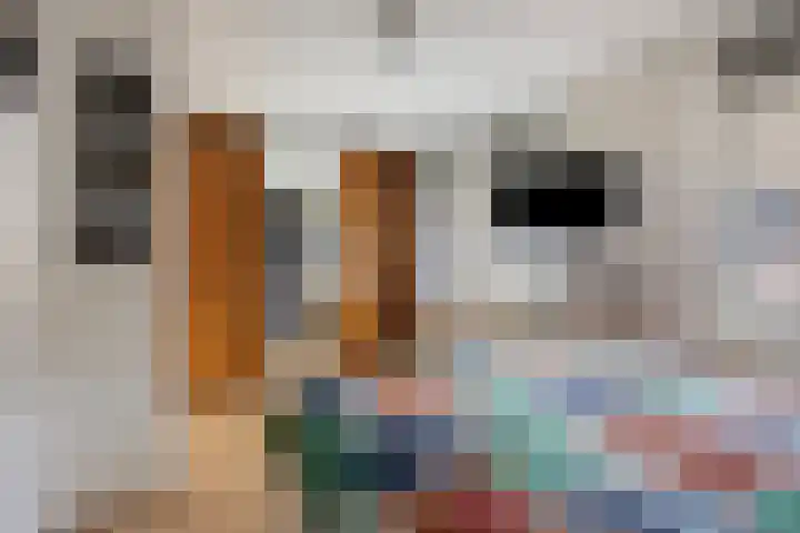 Maretakhof 19 Roermond thumbnail 15