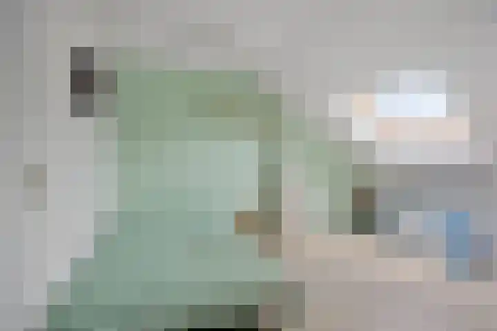 Maretakhof 19 Roermond thumbnail 16