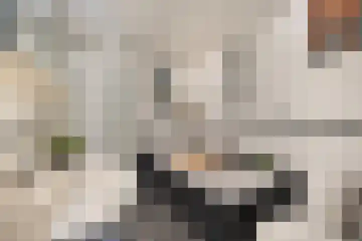 Maretakhof 19 Roermond thumbnail 18