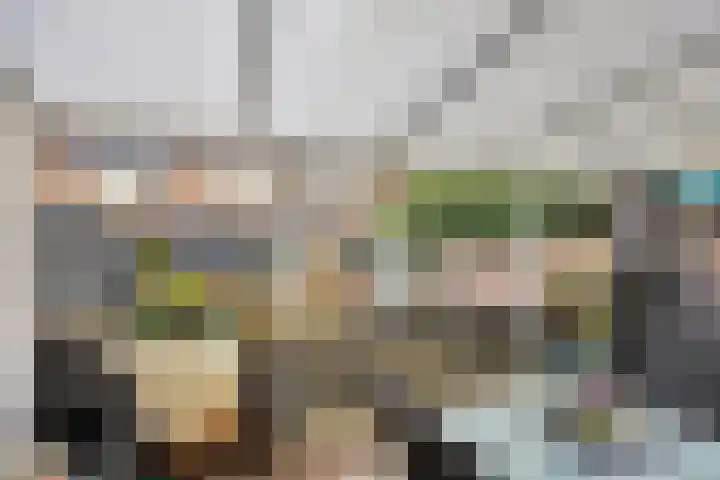 Maretakhof 19 Roermond thumbnail 22