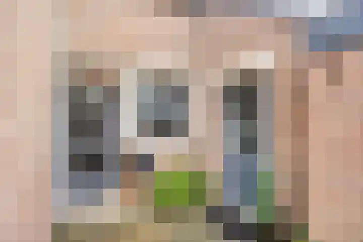 Maretakhof 19 Roermond thumbnail 25