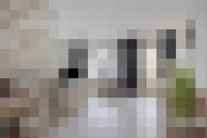 Maretakhof 19 Roermond thumbnail 4