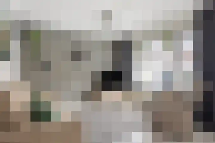 Maretakhof 19 Roermond thumbnail 5