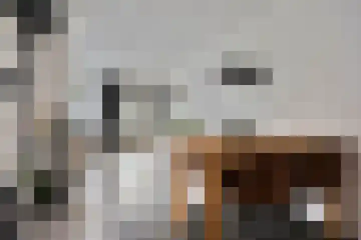 Maretakhof 19 Roermond thumbnail 6