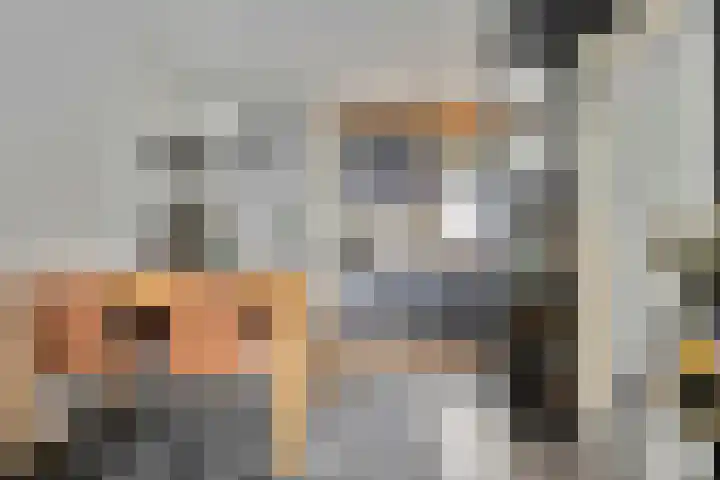 Maretakhof 19 Roermond thumbnail 7
