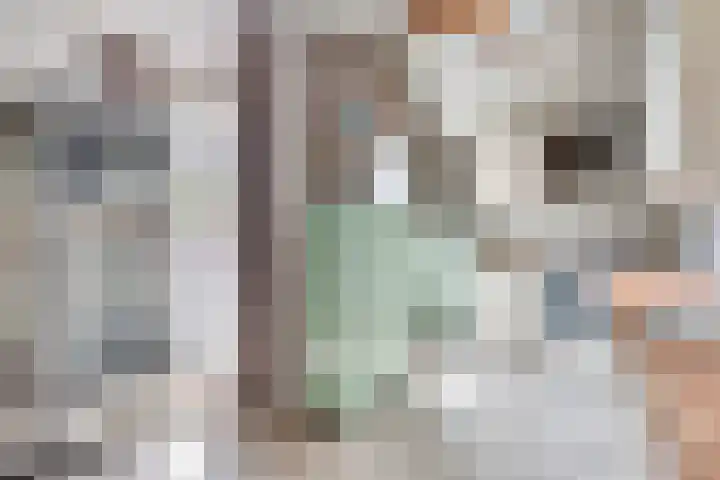 Maretakhof 21 Roermond thumbnail 10