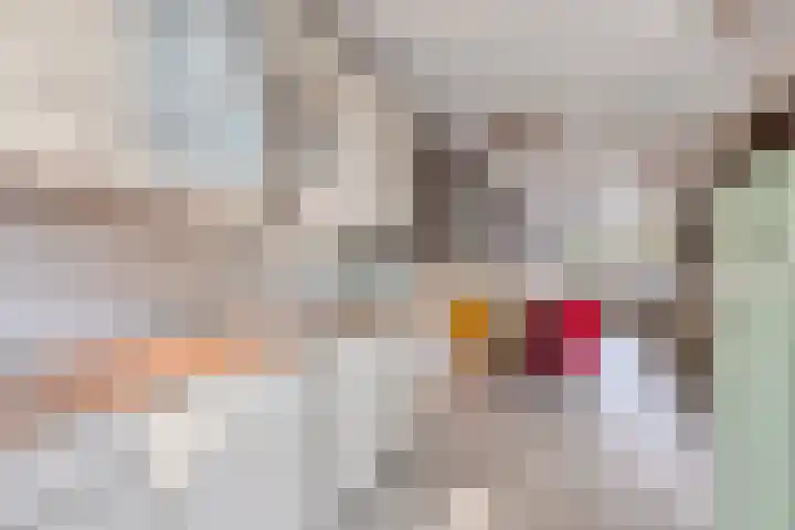 Maretakhof 21 Roermond thumbnail 11