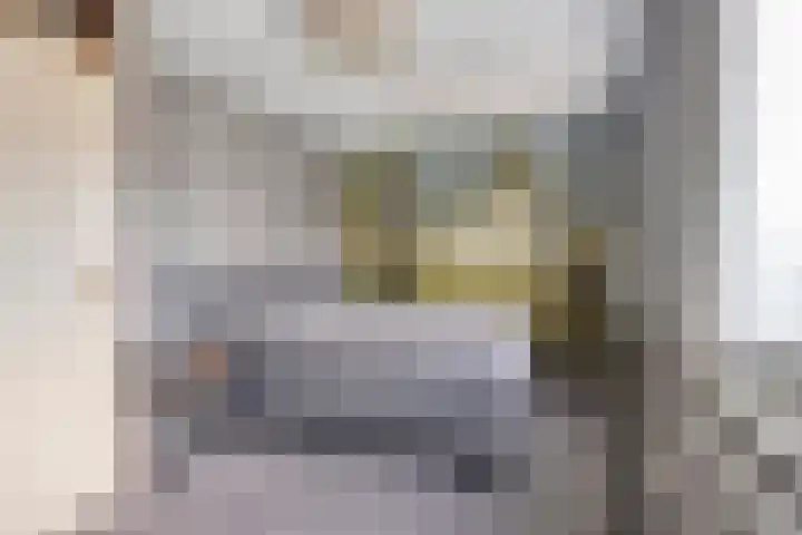 Maretakhof 21 Roermond thumbnail 16