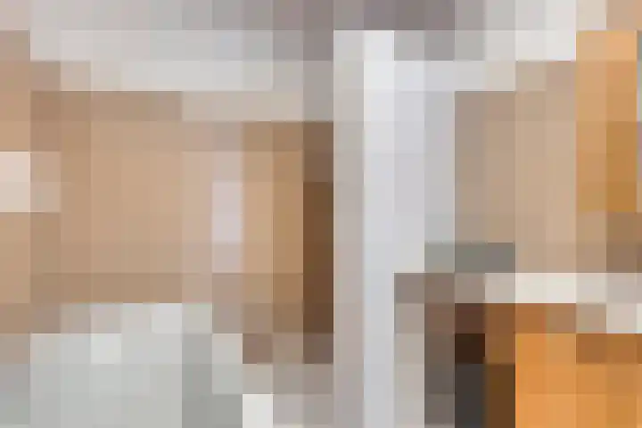 Maretakhof 21 Roermond thumbnail 19