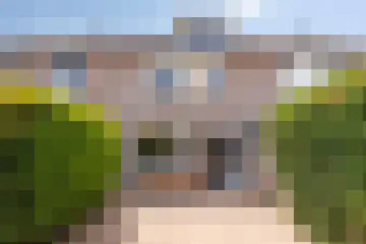 Maretakhof 21 Roermond thumbnail 29