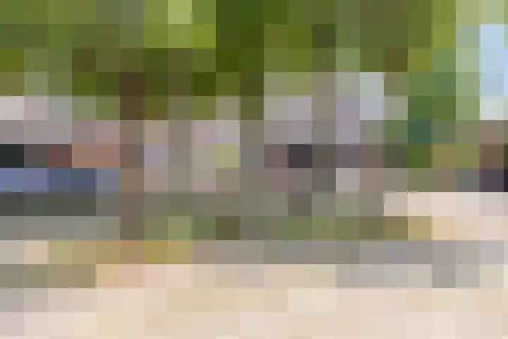 Maretakhof 21 Roermond thumbnail 32