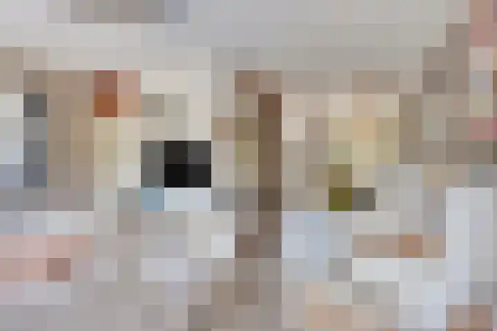 Maretakhof 21 Roermond thumbnail 4