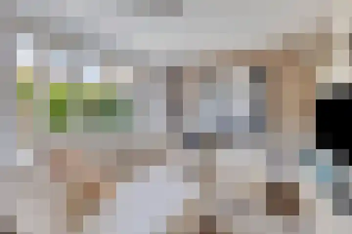 Maretakhof 21 Roermond thumbnail 5