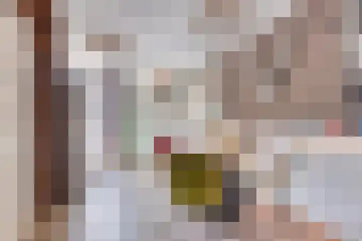Maretakhof 21 Roermond thumbnail 7