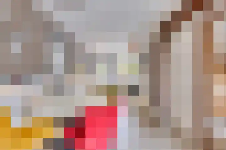 Maretakhof 21 Roermond thumbnail 8