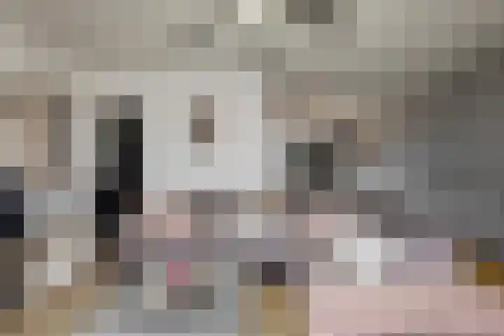 Maretakhof 29 Roermond thumbnail 11
