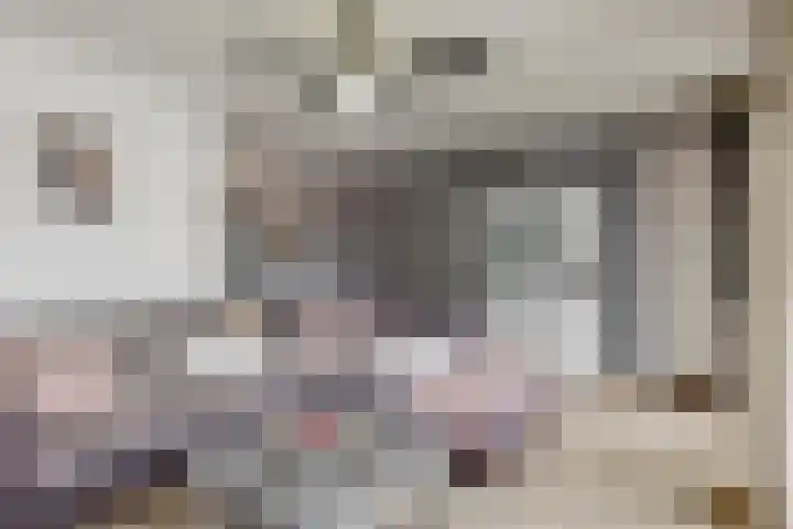 Maretakhof 29 Roermond thumbnail 12