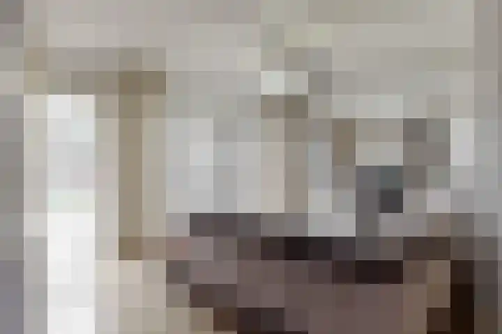 Maretakhof 29 Roermond thumbnail 15