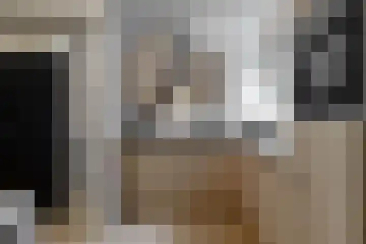 Maretakhof 29 Roermond thumbnail 16