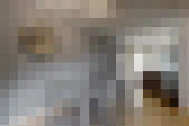 Maretakhof 29 Roermond thumbnail 18