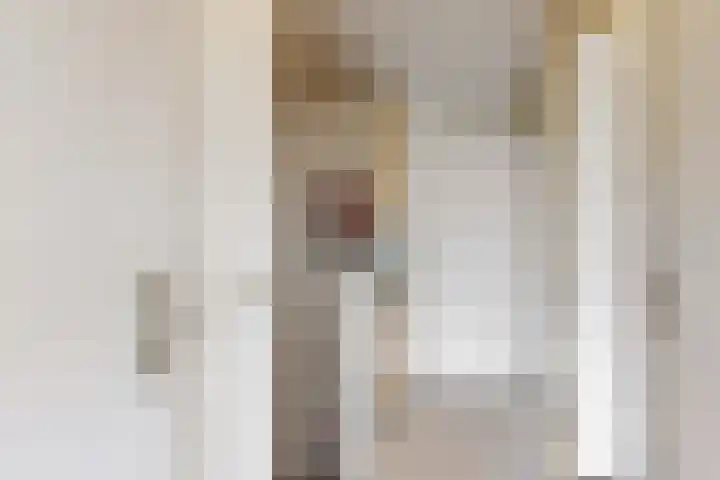 Maretakhof 29 Roermond thumbnail 21