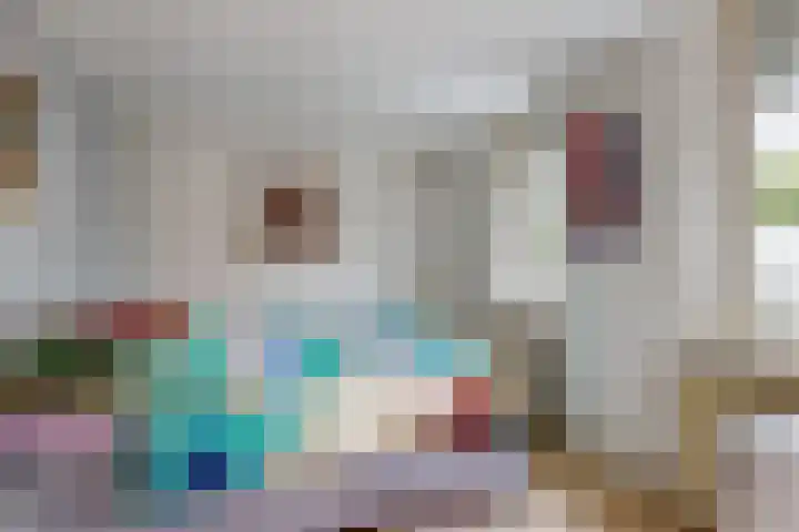 Maretakhof 29 Roermond thumbnail 22