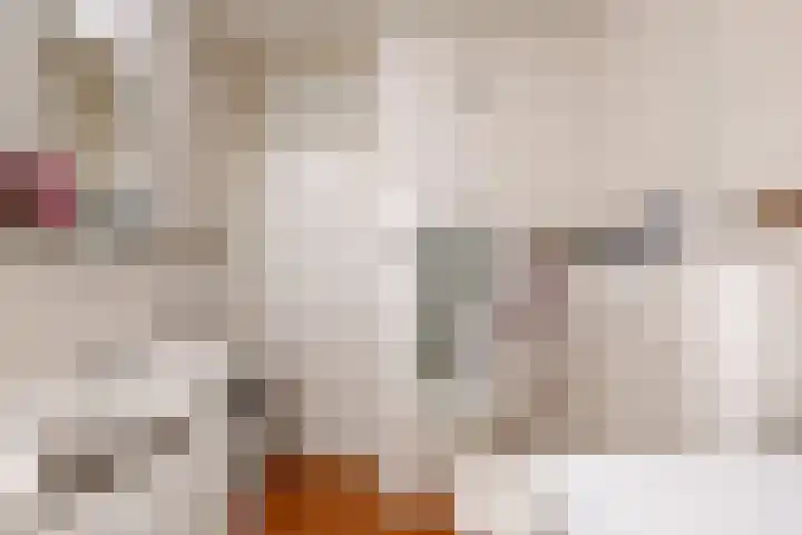 Maretakhof 29 Roermond thumbnail 26