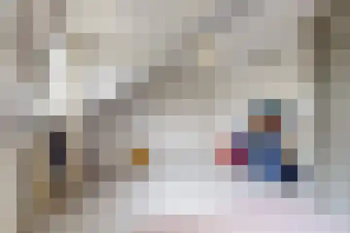 Maretakhof 29 Roermond thumbnail 30