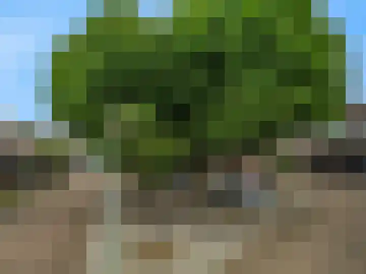 Maretakhof 29 Roermond thumbnail 34